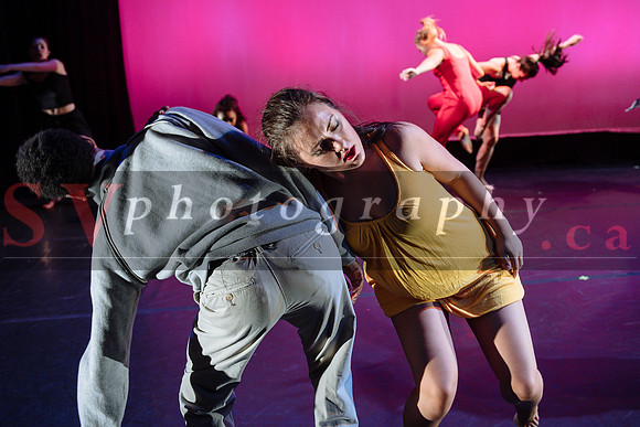 Next Stage Show