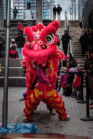 Lunar New Year Celebrations