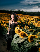 Sunflower Farm
