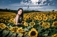 Sunflower Farm