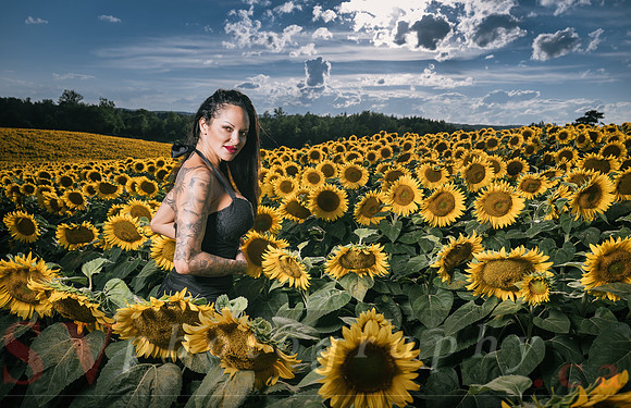 Sunflower Farm