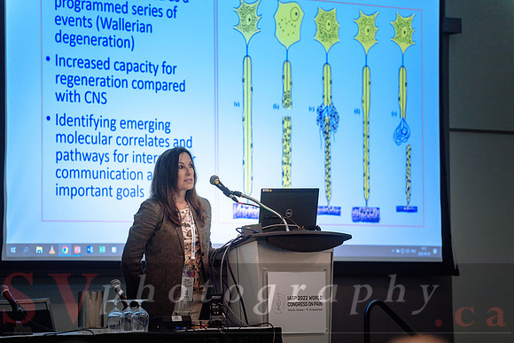 19th World Congress on Pain