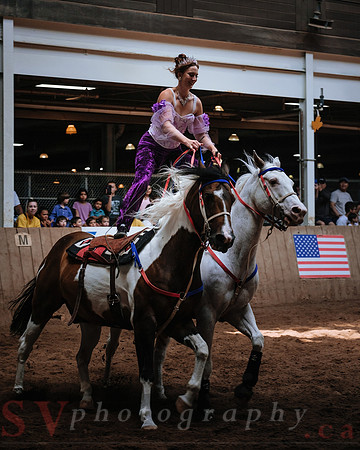 CNE’s interactive horse program CNE HorseCapades