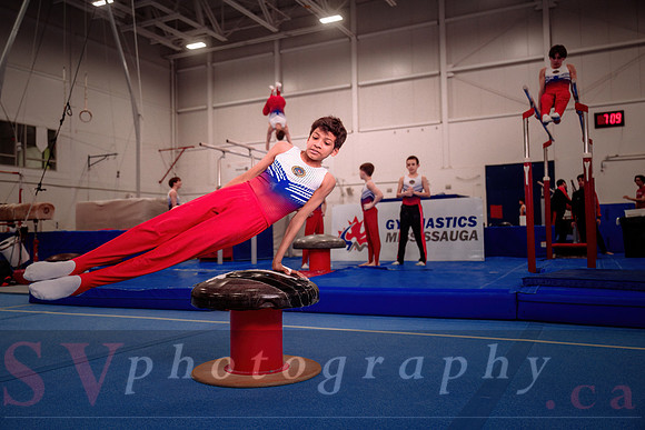 Gymnastics Mississauga