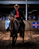 CNE’s interactive horse program CNE HorseCapades