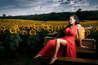 Sunflower Farm